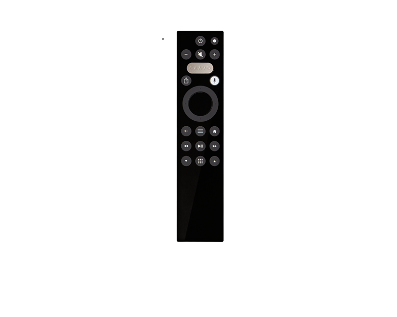 Control Center Replacement Remote